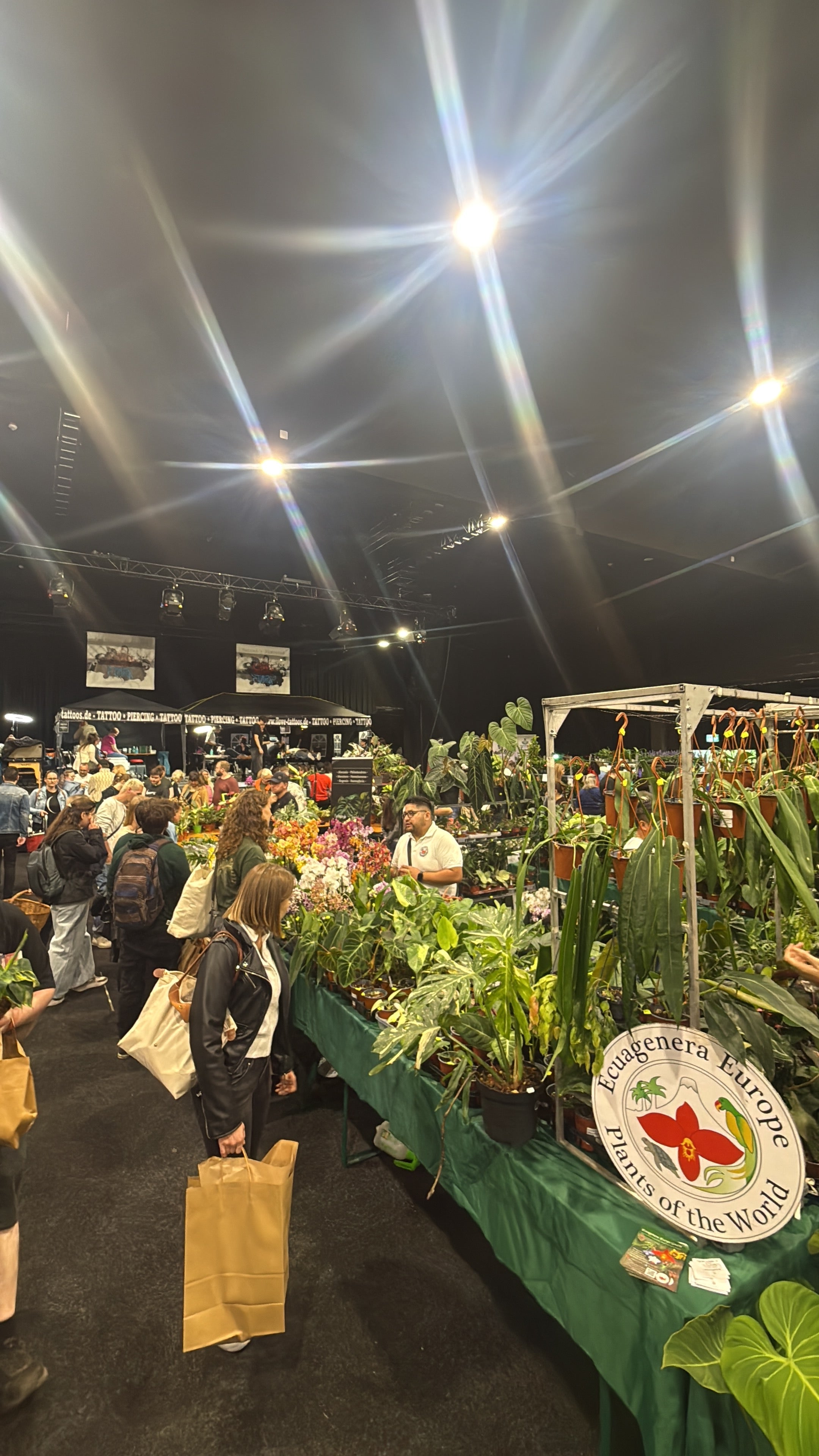 Mr. Plant Festival - 07. Juni 2026