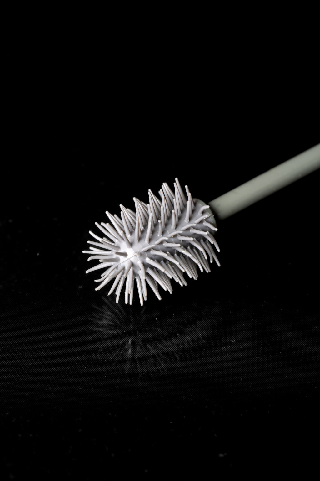 Cleaning brush